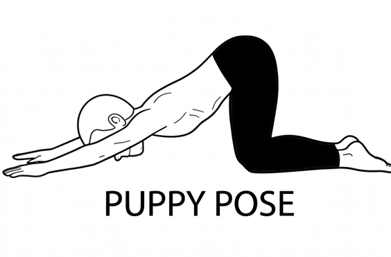 Visual sketch of Puppy Pose (Uttana Shishosana)